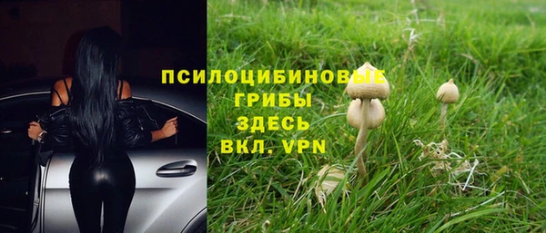 МДПВ Кодинск
