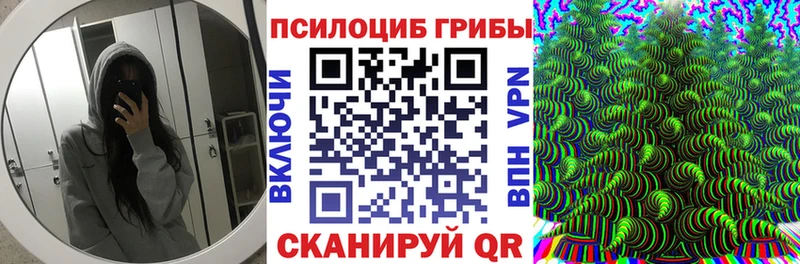 Галлюциногенные грибы Psilocybine cubensis  Купить  Усмань 
